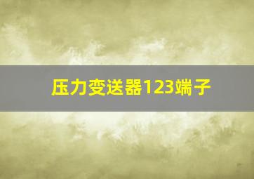 压力变送器123端子