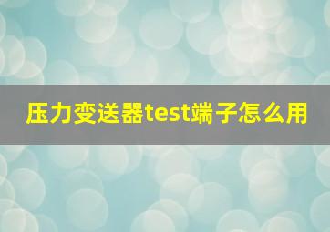 压力变送器test端子怎么用