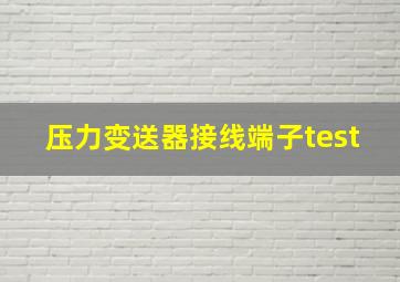 压力变送器接线端子test