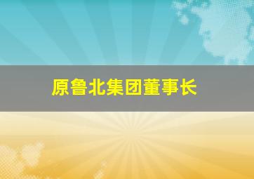 原鲁北集团董事长