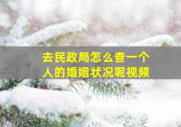 去民政局怎么查一个人的婚姻状况呢视频