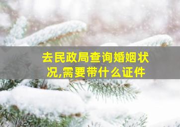 去民政局查询婚姻状况,需要带什么证件