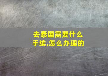 去泰国需要什么手续,怎么办理的