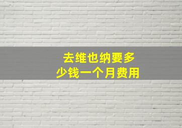 去维也纳要多少钱一个月费用