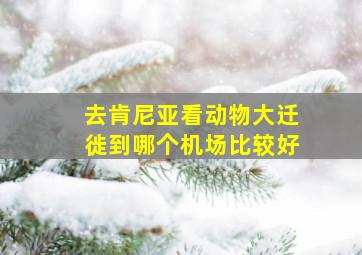 去肯尼亚看动物大迁徙到哪个机场比较好