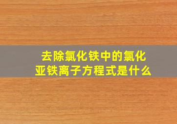 去除氯化铁中的氯化亚铁离子方程式是什么