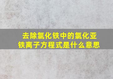 去除氯化铁中的氯化亚铁离子方程式是什么意思