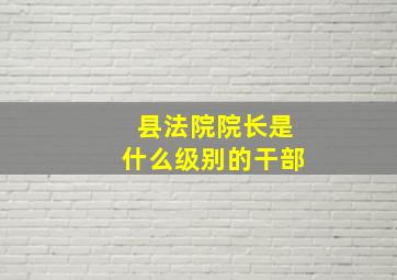 县法院院长是什么级别的干部