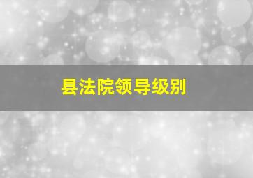 县法院领导级别