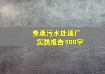 参观污水处理厂实践报告300字