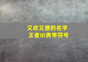 又欲又撩的名字王者ID男带符号