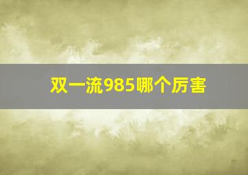 双一流985哪个厉害