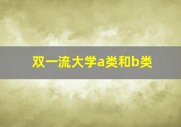 双一流大学a类和b类