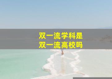 双一流学科是双一流高校吗