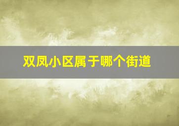 双凤小区属于哪个街道