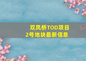 双凤桥TOD项目2号地块最新信息