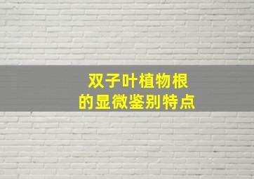 双子叶植物根的显微鉴别特点