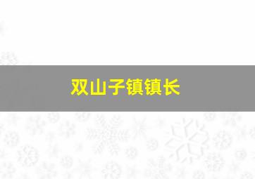 双山子镇镇长