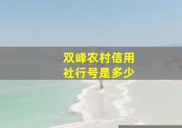 双峰农村信用社行号是多少