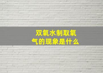 双氧水制取氧气的现象是什么