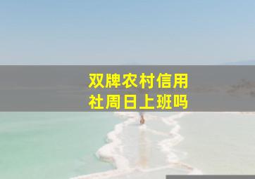 双牌农村信用社周日上班吗