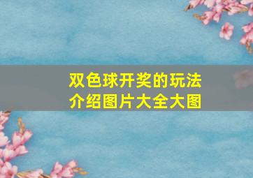 双色球开奖的玩法介绍图片大全大图