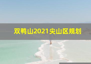 双鸭山2021尖山区规划