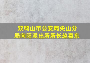 双鸭山市公安局尖山分局向阳派出所所长赵喜东