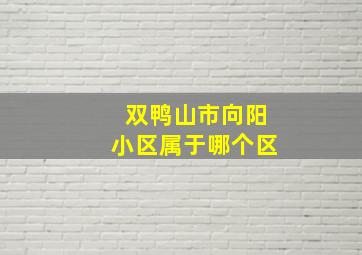 双鸭山市向阳小区属于哪个区