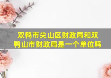 双鸭市尖山区财政局和双鸭山市财政局是一个单位吗