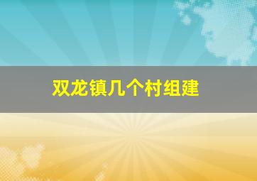 双龙镇几个村组建