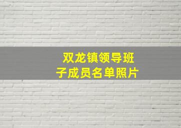 双龙镇领导班子成员名单照片