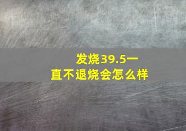 发烧39.5一直不退烧会怎么样