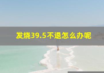 发烧39.5不退怎么办呢