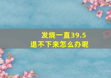 发烧一直39.5退不下来怎么办呢