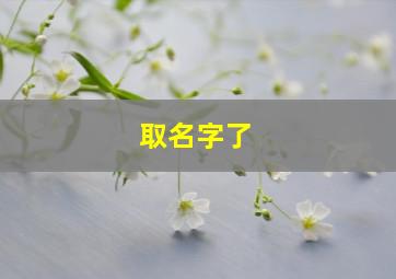 取名字了