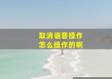 取消语音操作怎么操作的啊