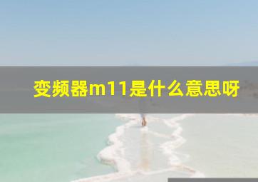 变频器m11是什么意思呀