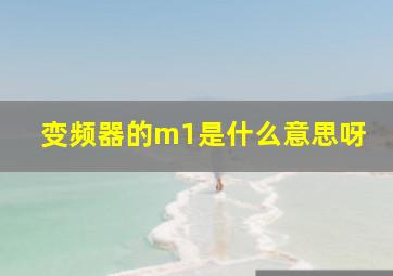 变频器的m1是什么意思呀