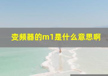 变频器的m1是什么意思啊