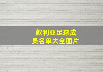 叙利亚足球成员名单大全图片