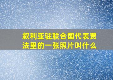 叙利亚驻联合国代表贾法里的一张照片叫什么