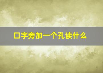 口字旁加一个孔读什么