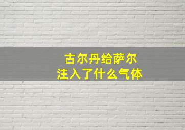 古尔丹给萨尔注入了什么气体