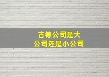 古德公司是大公司还是小公司