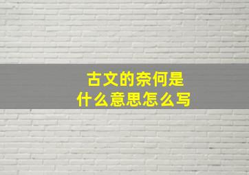 古文的奈何是什么意思怎么写