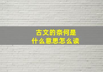 古文的奈何是什么意思怎么读