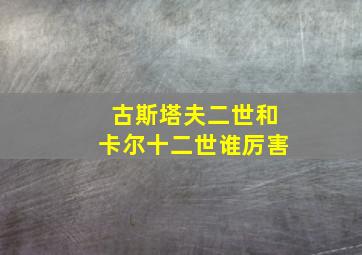 古斯塔夫二世和卡尔十二世谁厉害