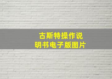 古斯特操作说明书电子版图片