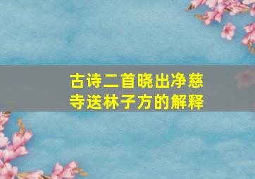 古诗二首晓出净慈寺送林子方的解释